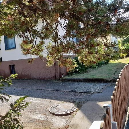 Ferienhaus International バート・ハルツブルク エクステリア 写真