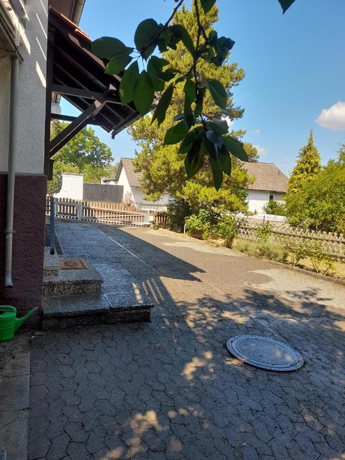 Ferienhaus International バート・ハルツブルク エクステリア 写真