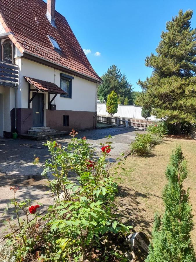 Ferienhaus International バート・ハルツブルク エクステリア 写真